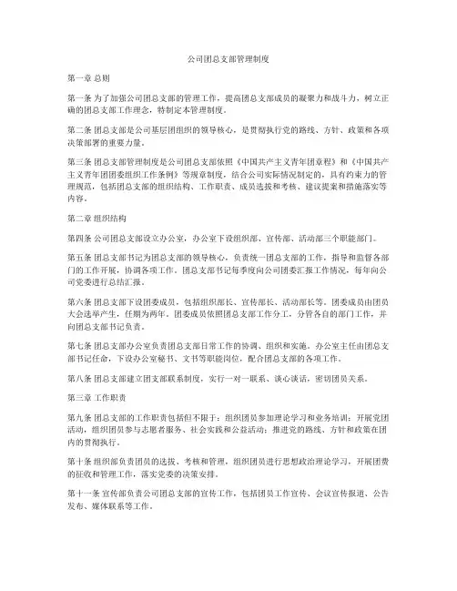 公司团总支部管理制度