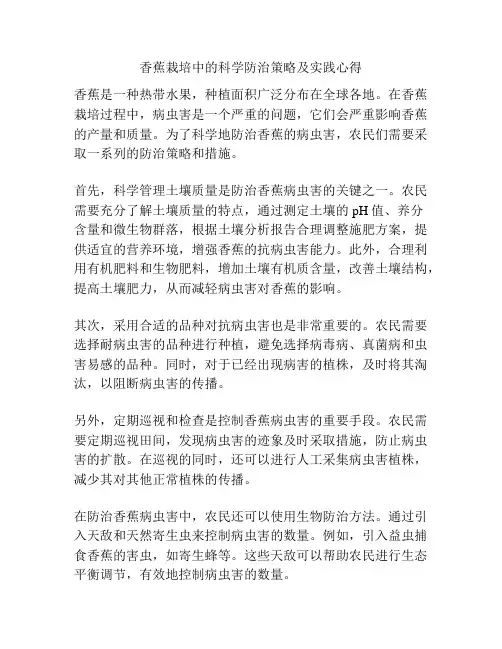 香蕉栽培中的科学防治策略及实践心得