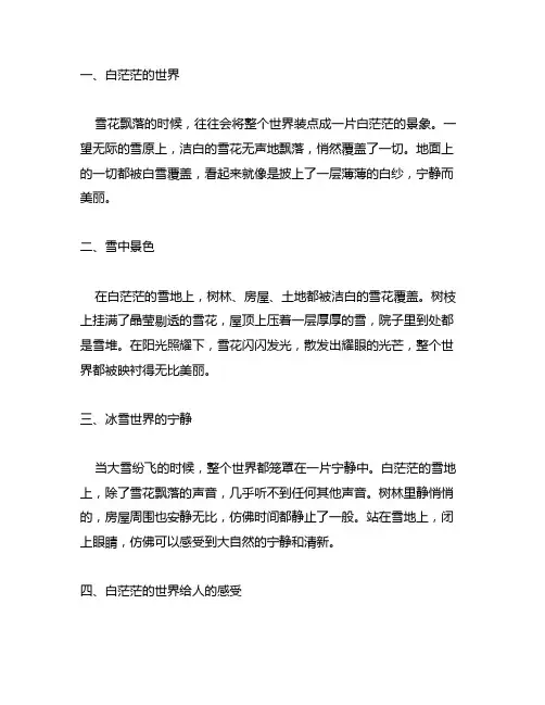 一片白茫茫的世界环境描写赏析