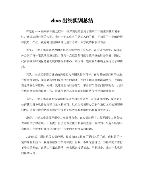 vbse出纳实训总结