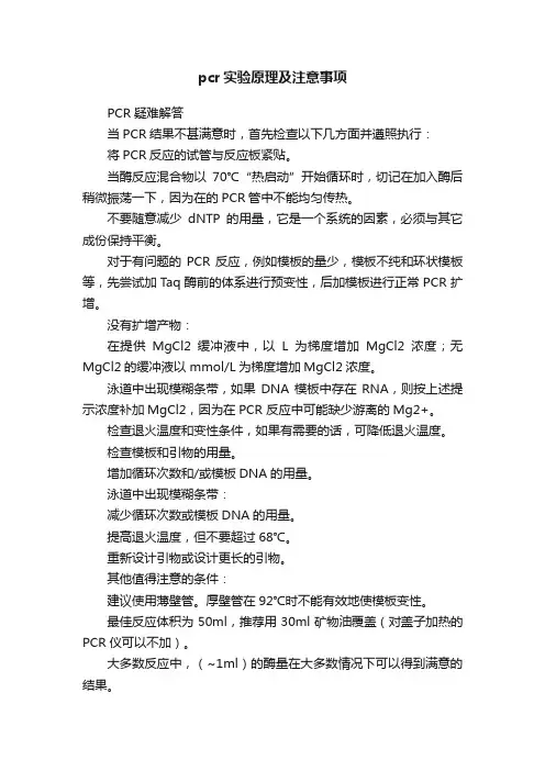 pcr实验原理及注意事项