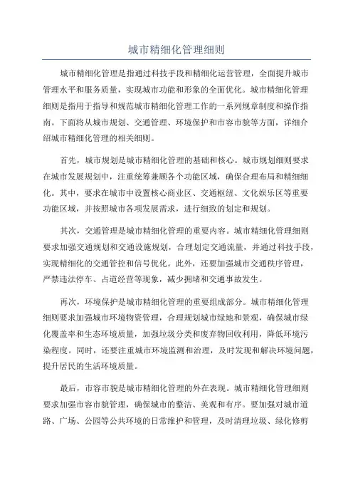 城市精细化管理细则