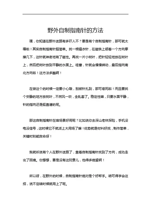 野外自制指南针的方法