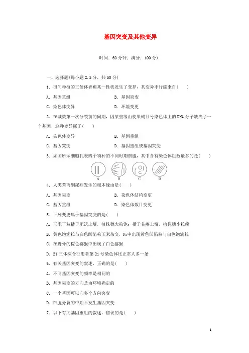 2024高中生物阶段质量检测五基因突变及其他变异含解析新人教版必修2