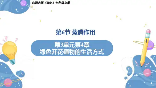 3.4.6 蒸腾作用 课件(共24张PPT+内嵌视频1个)北师大版七年级上册.ppt