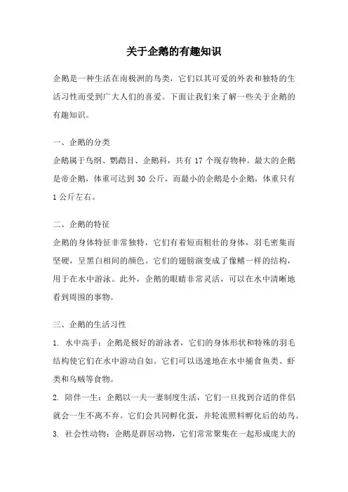关于企鹅的有趣知识