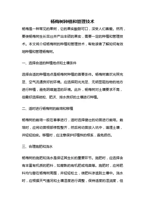 杨梅树种植和管理技术