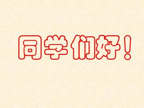 看问题要分清主流与支流 PPT教学课件 人教版