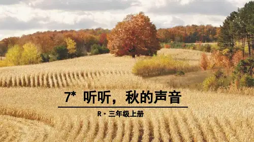 最新部编人教版小学三年级上册语文《听听秋的声音》教学课件ppt