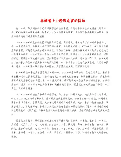 非洲菊上白粉虱危害的防治
