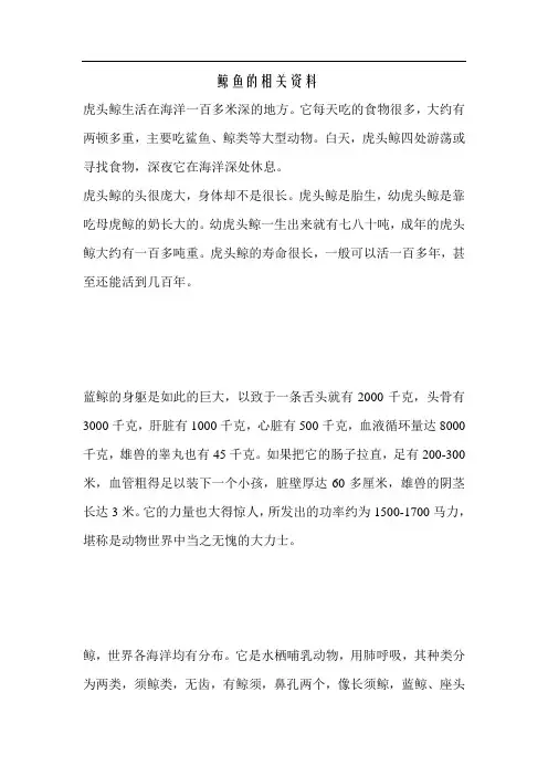 鲸鱼的有关资料