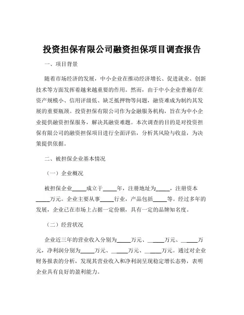 投资担保有限公司融资担保项目调查报告