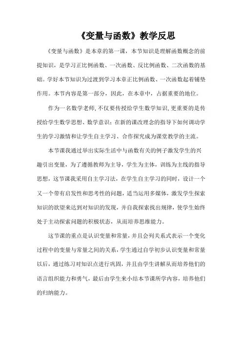 变量与函数教学反思
