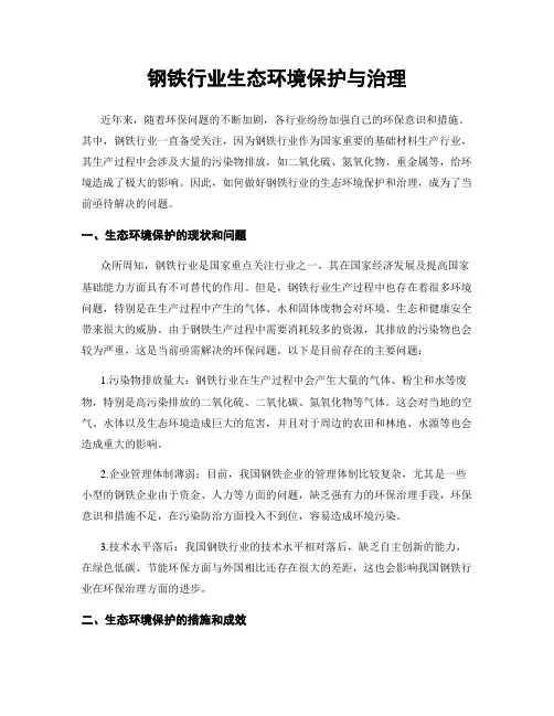钢铁行业生态环境保护与治理