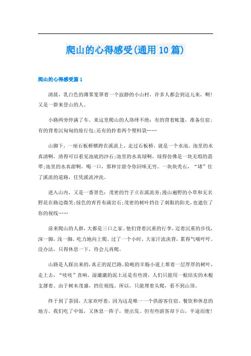 爬山的心得感受(通用10篇)