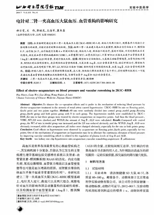 电针对二肾一夹高血压大鼠血压、血管重构的影响研究
