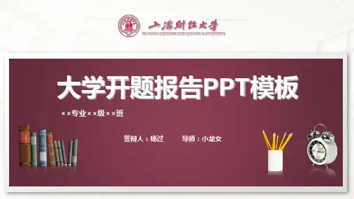 上海财经大学开题报告PPT模板
