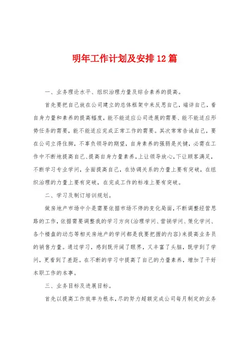 明年工作计划及安排12篇