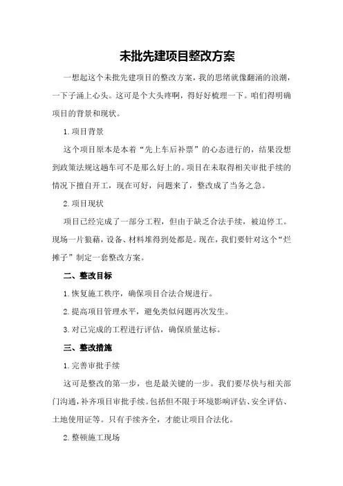 未批先建项目整改方案
