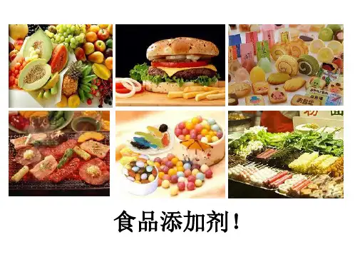 培训_第九章食品添加剂及其管理