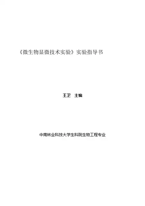 微生物显微技术实验