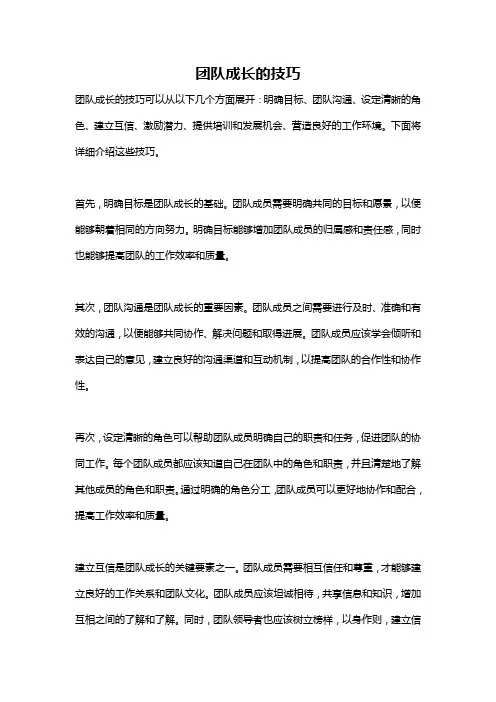 团队成长的技巧