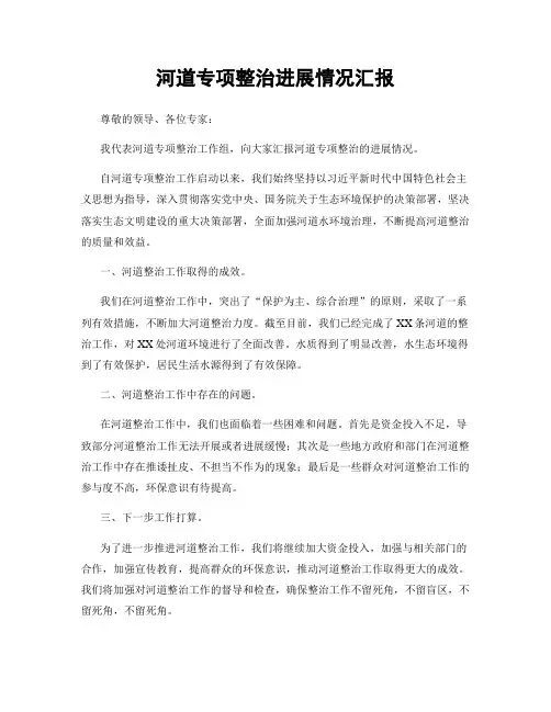 河道专项整治进展情况汇报