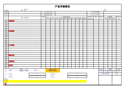 Product Audit Report 产品审核报告模板