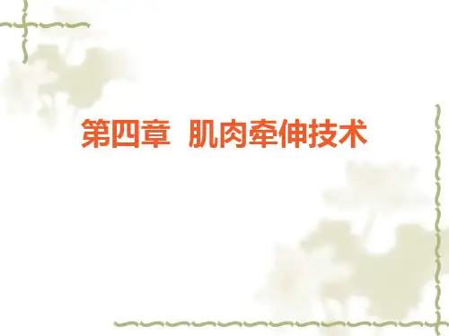 肌肉牵伸技术(下肢牵伸技术及程序)