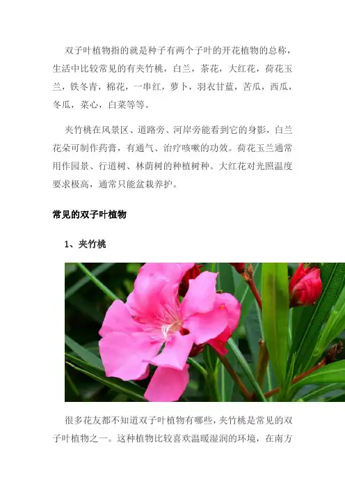 双子叶植物有哪些