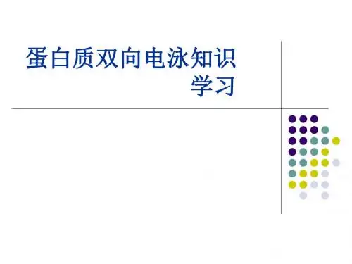 XX生物技术公司蛋白质双向电泳知识学习