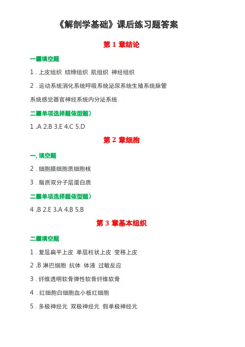 解剖学基础课后练习题答案