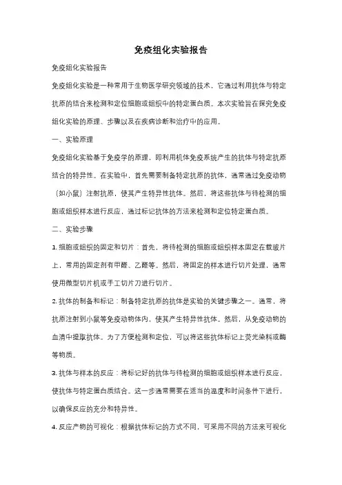 免疫组化实验报告