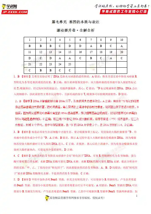 第07单元 基因的本质与表达(滚动提升卷)-2019年高考生物单元滚动双测卷(一轮复习)(全解全析)