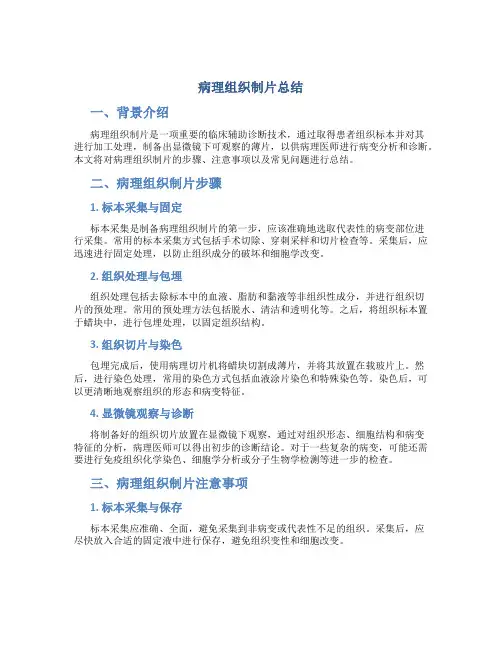 病理组织制片总结
