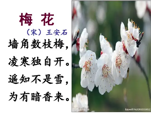 四年级下册第三单元《古诗两首》