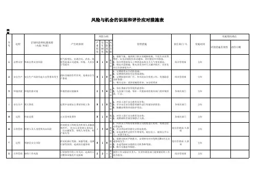 ISO9001过程风险与机会识别和评价应对措施表