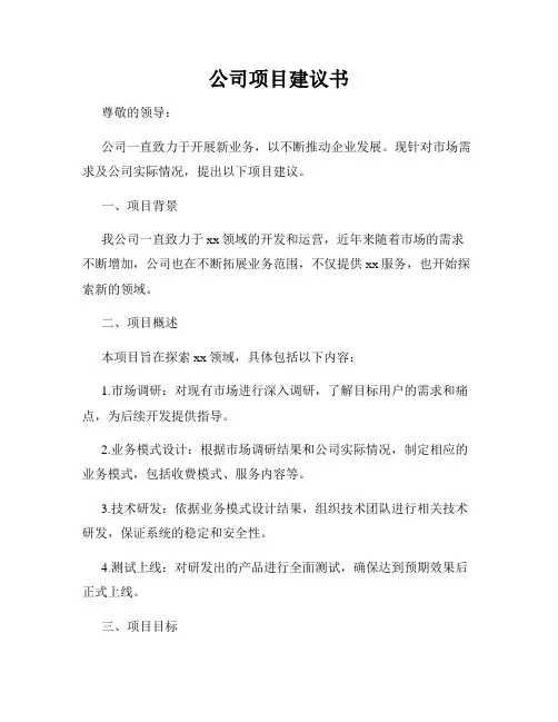 公司项目建议书