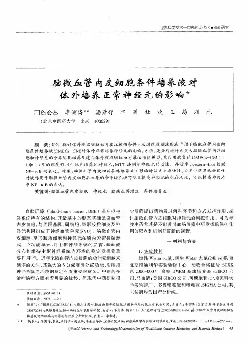 脑微血管内皮细胞条件培养液对体外培养正常神经元的影响