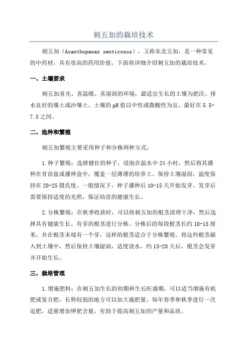 刺五加的栽培技术
