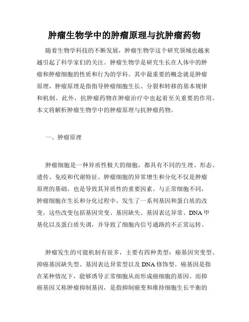 肿瘤生物学中的肿瘤原理与抗肿瘤药物