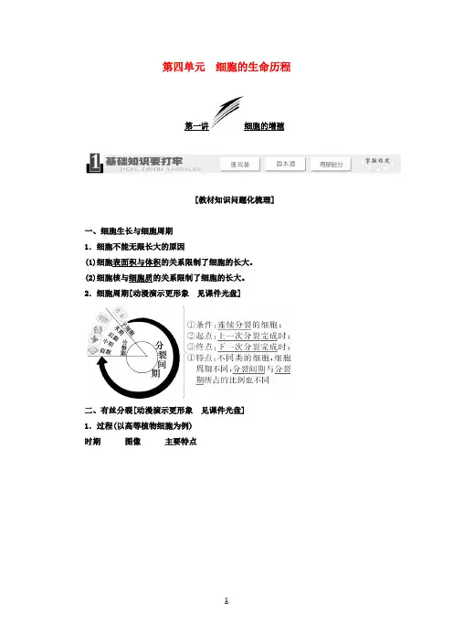 高考生物一轮教师用书 第4单元 第1讲 细胞的增殖教案 新人教版必修1