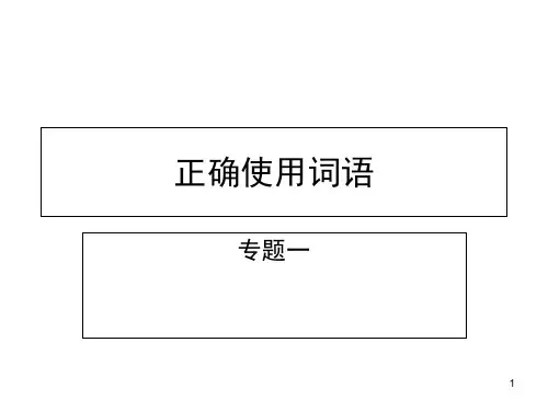 词语辨析专题(课堂PPT)