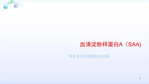 血清淀粉样蛋白APPT演示幻灯片
