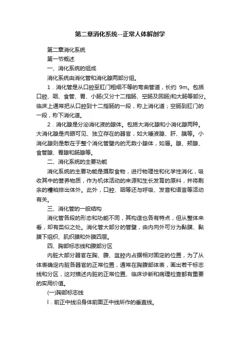 第二章消化系统--正常人体解剖学