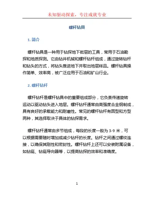 螺杆钻具 (2)