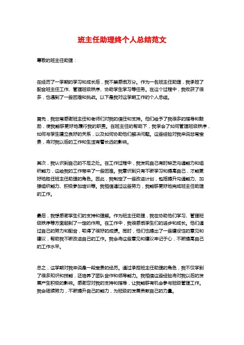 班主任助理终个人总结范文