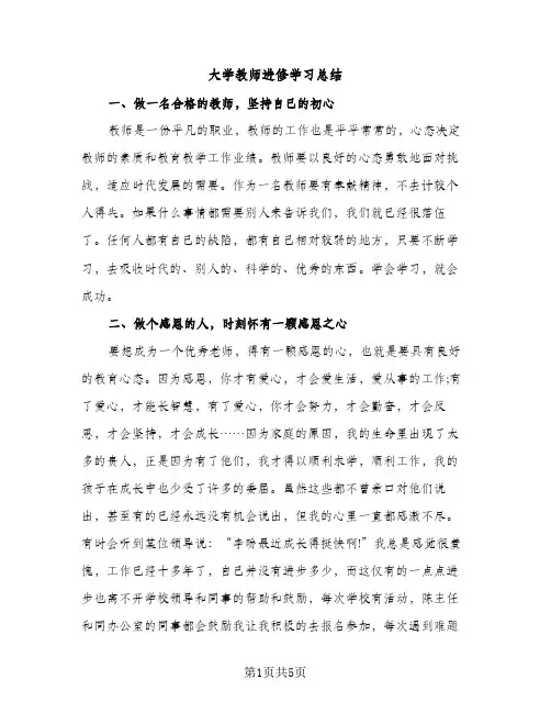 大学教师进修学习总结（2篇）