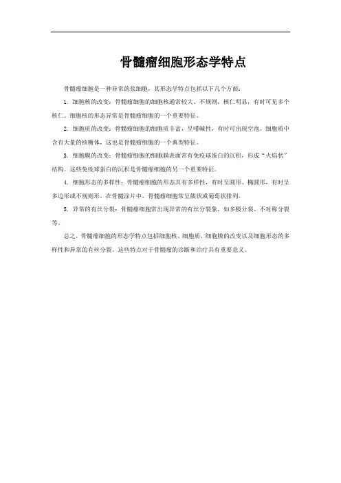 骨髓瘤细胞形态学特点