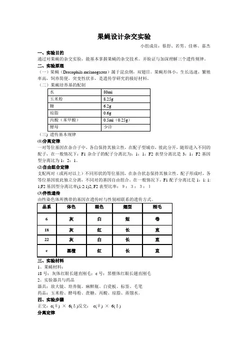 果蝇设计实验